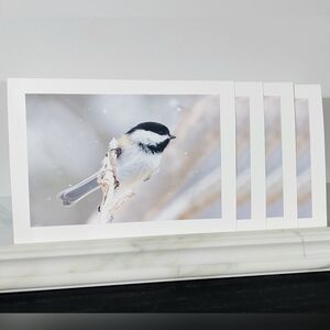 4 Stunning Black Capped Chickadee Matte Finish Blank Photo Cards
